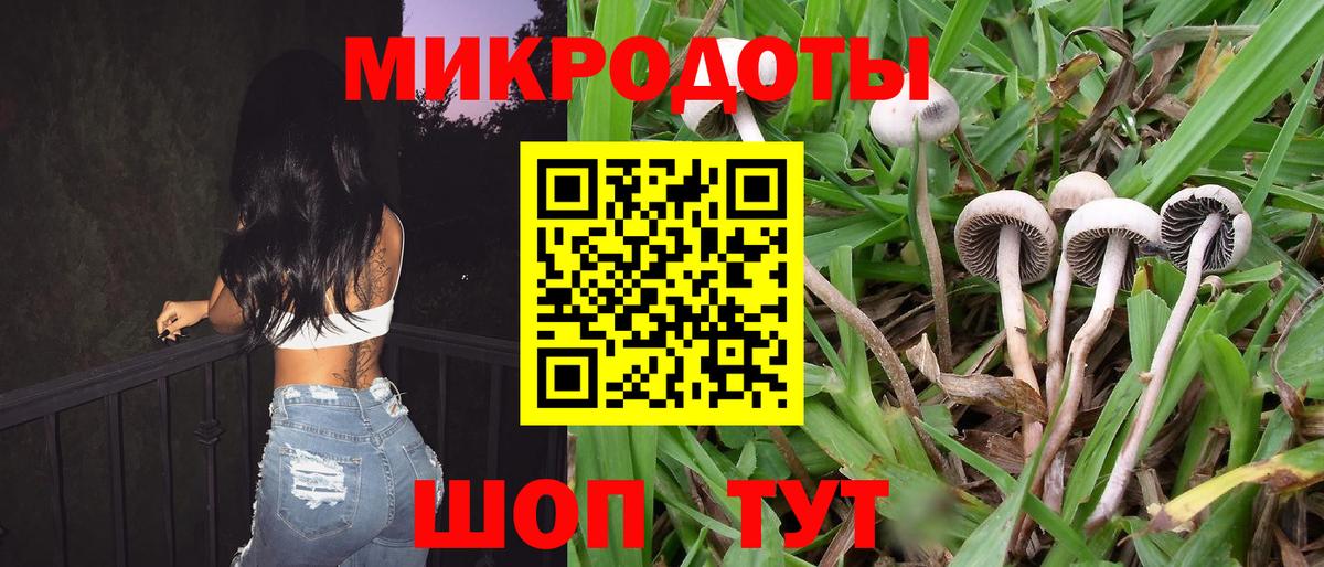 Галлюциногенные грибы прущие грибы  Вход с VPN  Кохма 