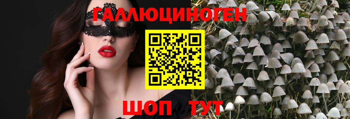 Псилоцибиновые грибы Psilocybine cubensis Кохма